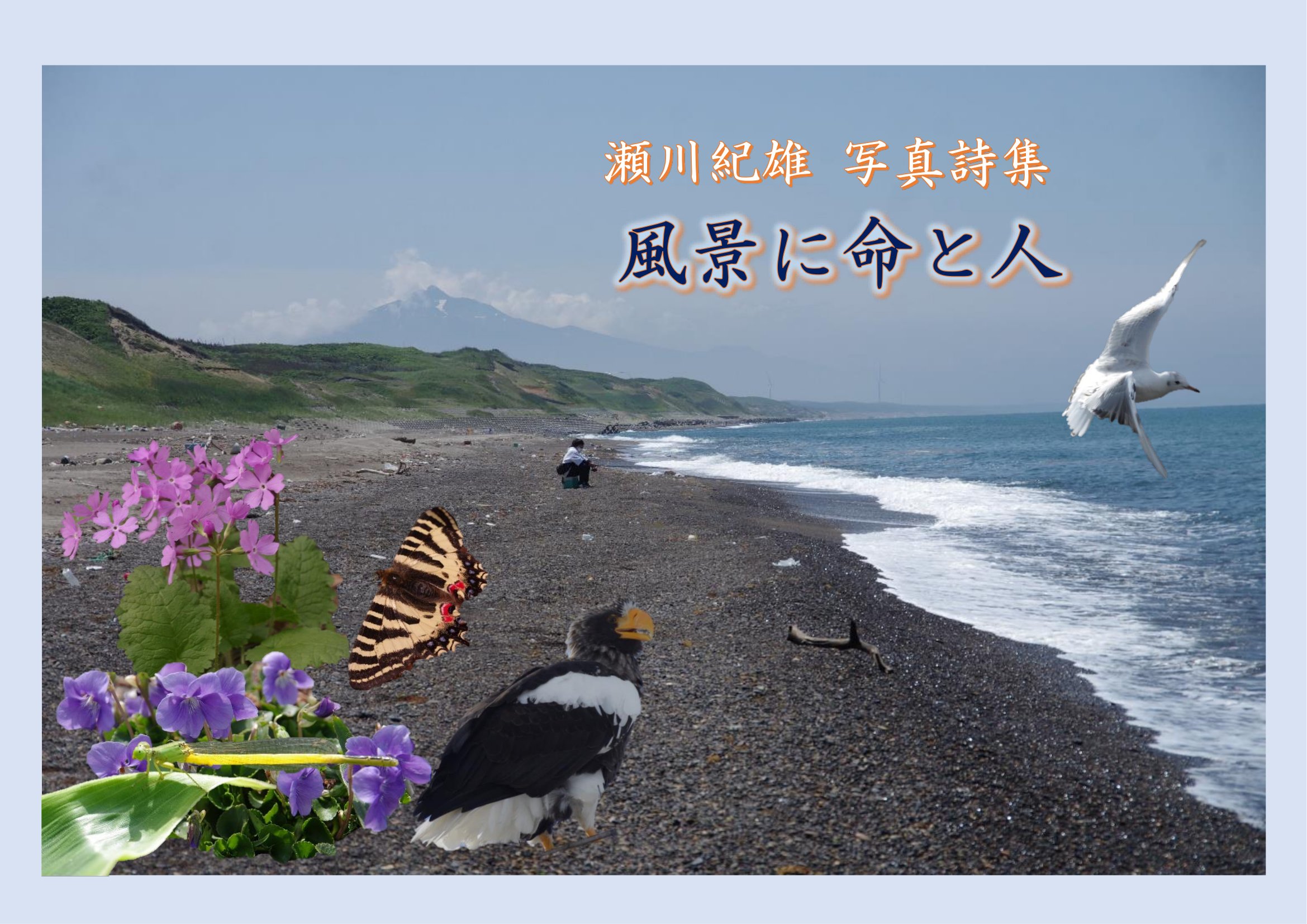 �ʐ^���W�w���i�ɖ��Ɛl�x����I�Y